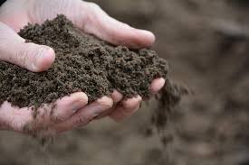 Find many great new & used options and get the best deals for top soil (bulk bags) at the best online prices at ebay! Quality Screened Topsoil West Midlands Singletons Nurseries Bromsgrove