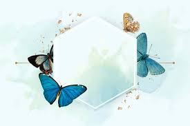We did not find results for: Free Vector Many Butterflies