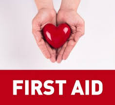 5 Reasons Why Basic First Aid Knowledge Is Important Green Guard A developed or acquired aptitude or ability. 5 reasons why basic first aid knowledge
