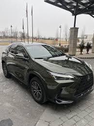 Image result for Nori Green 2025 LZ