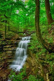 The only other trail that comes close is the bushwhacker johnson trail. Trails Greenways City Of Huntsville