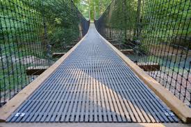 Image result for Cola greenwayi