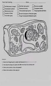 Animal Cell Coloring Worksheet Answers Printable Worksheets Are A Precious Classroom Tool They In 2021 Animal Cells Worksheet Plant Cells Worksheet Cells Worksheet