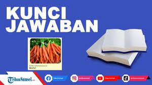 Stroberi merupakan salah satu tanaman yang berkembang biak dengan geragih. Bagaimana Cara Berkembang Biak Wortel Dan Contoh Tanaman Lainnya Kunci Jawaban Tema 1 Kelas 6 Hal 50 Tribun Sumsel