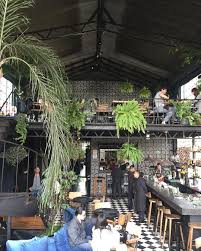 The 10 Best Bars In Roma Mexico City Mexico City Restaurants Cool Restaurant Mexico City Travel
