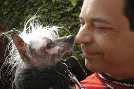 Ugly dog contest draws pooches and pet lovers to Del Mar Fairgrounds