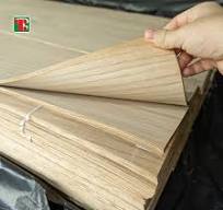 Impiallacciatura di legno di quercia bianca cinese | 0,25 mm ...