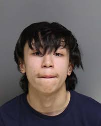 Gang hunter' arraigned in murder of 12-year-old