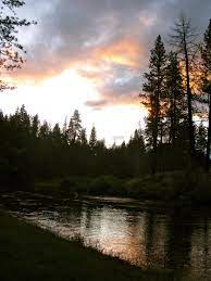 Pin On Red Wood National Park