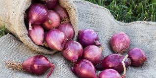 pijat bawang merah