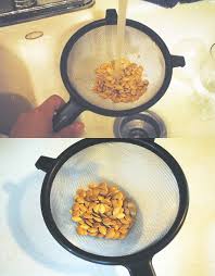 Maybe you would like to learn more about one of these? Saving Seeds From Squash Homesteading Simple Self Sufficient Off The Grid Homesteading Com