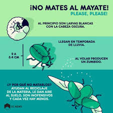 As an adjective, it roughly means lousy. Spanish Gay Dictionary How To Say Gay In Spanish Spanish Gay