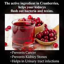 Benefits Of Cranberries In 2020 Cranberry Benefits Kidney Failure Treatment Kidney Patient Diet
