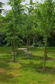 May 27, 2021 · you can see some of what the inside will look like, though some of these pictures have a lot of glare making it tough to see. Green Landscape Romantic Nature Stock Image Colourbox