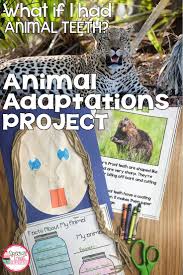 Animals through time fossils, animal survival, & heredity 2nd grade, 3rd grade, 4th grade. Digital Animal Adaptations Project And Activities Project Based Learning Animal Adaptations Projects Adaptation Projects Animal Adaptations