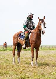 Caballero del caballo foto editorial. Imagen de batalla