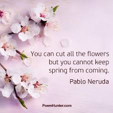 Pin On Quotes