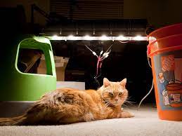 You can use prehung doors and windows or make your own. High Power Led Grow Light A Build Log Circuits Home