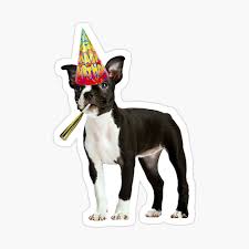 Give your boston terrier or a dog lover a birthday to remember with a card that's been personalized just for them! Boston Terrier Birthday Greeting Card By Cafepretzel Redbubble