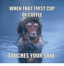 When That First Cup Of Coffee Or Tea Touches Your Soul Funny Good Morning Memes Morning Memes Monkeys Funny