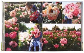 Premium roses| real roses that last a year | fresh flowers| roses in a box (black box, medium) : Floret Farm S A Year In Flowers Designing Gorgeous Arrangements For Every Season Flower Arranging Book Bouquet And Floral Design Book By Erin Benzakein Hardcover Barnes Noble