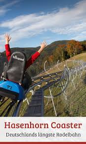 Hasenhorn Coaster Rodelbahn Todtnau Hochschwarzwald Schwarzwald Urlaub Hochschwarzwald Urlaub Reisen
