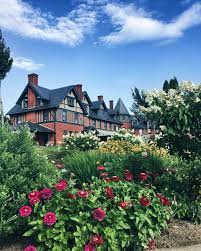 White horses and carriages for special events in new jersey area. Traveling Petting Zoo Nh Crazypurplemama