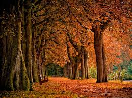 High resolution fall macbook wallpaper. Free Amazing Hd Fall Wallpapers For Your Mac Applegazette