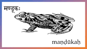 Pin On Aquatic Animals In Sanskrit