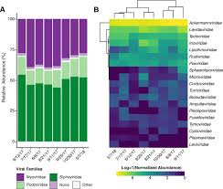 Second stage of tertiary education (leading to an advanced research qualification). Seasonal Dynamics In Taxonomy And Function Within Bacterial And Viral Metagenomic Assemblages Recovered From A Freshwater Agricultural Pond Environmental Microbiome Full Text