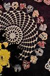 And two dozen other irresistible designs. Flower Garden Doilies Book 52 Lily Mills Company Crochet Patterns