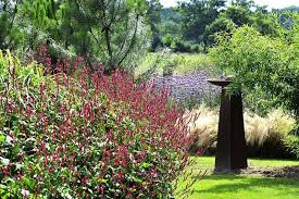 jardin contemporain et persicaria jardin contemporain jardin exotique jardins
