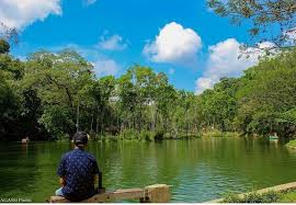 Bendungan karangkates dan bendungan lahor jadi salah satu tujuan wisata di malang. Lokasi Dan Harga Tiket Masuk Waduk Andeman Turen Malang Serunya Bermain Air Ditengah Pohon Bambu Ala Jepang Daka Tour