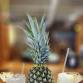 PINEAPPLEFEST 2026