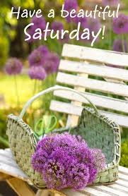 Have A Beautiful Saturday Good Morning Saturday Beautiful Flowers Saturday Greetings