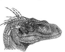 You can edit any of drawings via our online image editor before downloading. Jurassic Park 3 Velociraptor By Yankeetrex On Deviantart Jurassic Park Dinosaur Sketch Jurassic World