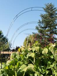 Check spelling or type a new query. Garden Hoops Adjustable Up To 5 Ft Tall Gardener S Supply Plant Protectors Row Covers Garden Supplies Garden Design Cottage Garden