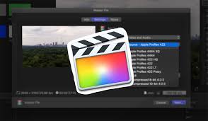 Premiere pro viene con premiere rush, una nueva aplicación multifunción que se puede usar en cualquier dispositivo. Color Grading Freebie 65 Free Premiere Pro Looks