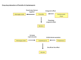 Webmedcentral Com An Illustrated Review On Penicillin And