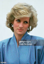 19,682 Bruce Blue Stock Photos, High-Res Pictures, and Images