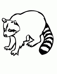 The free coloring sheets can be used by educators or simply by children who love raccoons. Get This Printable Raccoon Coloring Pages 58425