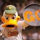 Long Island Ducks vs. Staten Island Ferryhawks