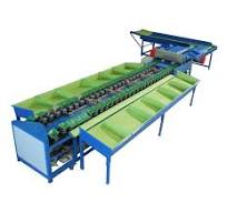 Fruit Grading Machine