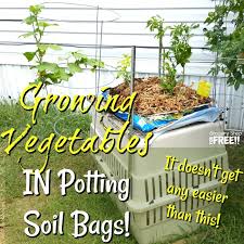 Your plants need a light fluffy soil that will allow the roots to easily grow. Growing Vegetables In Potting Soil Bags