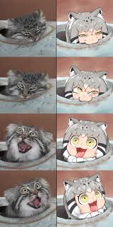 Pallas S Cat By Nanatiiiiiiiiii Kemono Friends Anime Funny Anime Furry Anime Memes Funny