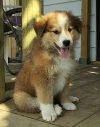 Pin On Awwwwwwww