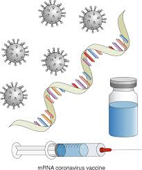 12 vaccines approved by at least one country. Nanomedicine And The Covid 19 Vaccines Nature Nanotechnology