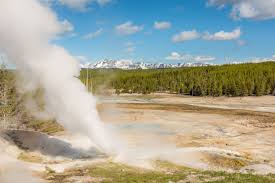 Yellowstone Had Nearly 300 Earthquakes In May But It S No Biggie Recent Earthquakes National Parks Yellowstone National Park