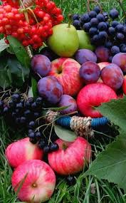 Epingle Par Esther Wong Sur Love The Color Photographie De Fruit Fruits Exotiques Photos De Fruits Et Legumes