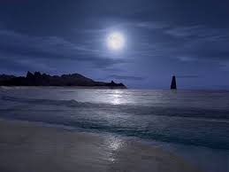 I lupi mannari esistono e io li ho visti. Che Effetto Ti Fa La Luna Piena Scopri Se Sei Anche Tu Lupo Mannaro Caffeina Magazine